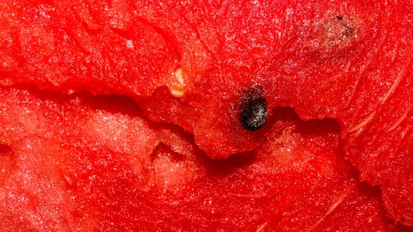 Olgun kırmızı karpuz. Kemiklerle kırmızı karpuz dokusu. Sulu karpuzun arka planı.