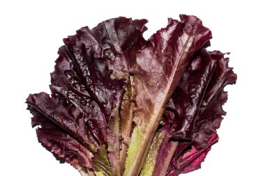 Kırmızı salata yaprakları. Salata arka planda bırakır. Taze marul.