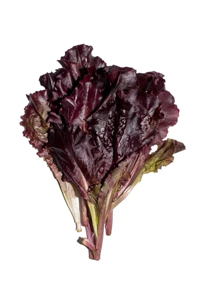 Salada Vermelha Folhas Leaves Salad Deixa Fundos Alface Fresca — Fotografia de Stock
