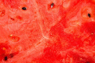 Olgun kırmızı karpuz. Kemiklerle kırmızı karpuz dokusu. Sulu karpuzun arka planı.