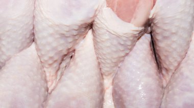 Taze tavuk bacağı arka plan. Çiğ tavuk baget.