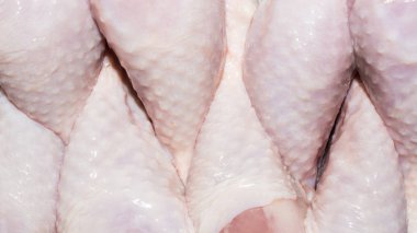 Taze tavuk bacağı arka plan. Çiğ tavuk baget.