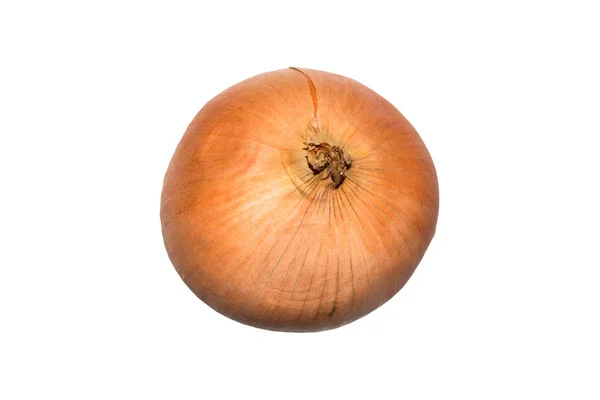 Onion Isolated White Background Unpeeled Onions White Background — Stock Photo, Image