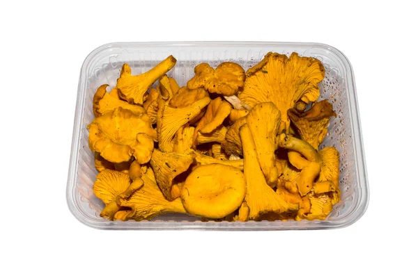 Čerstvé Lesní Houby Chanterelles Pozadí Chips Houby — Stock fotografie