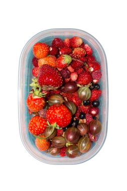 Yabanmersini. Beyaz arka planda plastik bir kapta meyveler. Çeşitli meyveler..