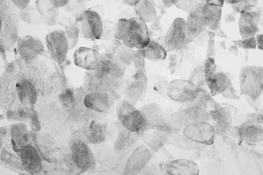 Parmak izleri.Parmak izi ile arka plan. Beyaz arka planda siyah parmak izi.