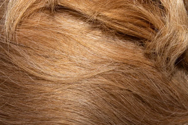 Rambut Perempuan Berwarna Latar Belakang Rambut Berwarna Split Berakhir — Stok Foto