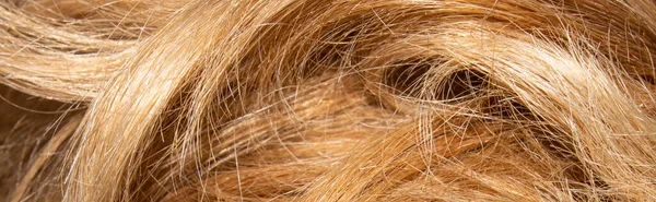 Kolorowe Włosy Kobiece Tło Włosów Farbowanych Zakończenia Plit — Zdjęcie stockowe