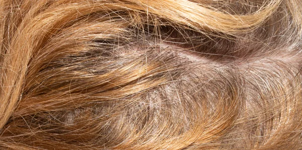 Barevné Ženské Vlasy Pozadí Barevných Vlasů Rozdělené Konce — Stock fotografie