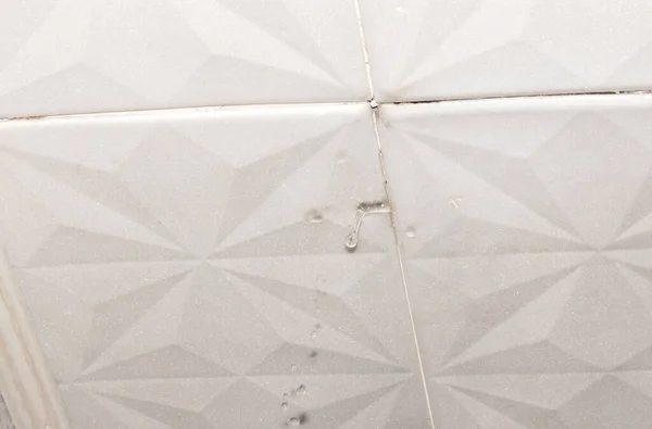 Dairenin tavanında su baskını. Dairenin tavanında sızıntı var..