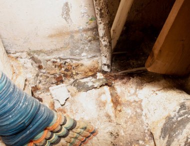 Dairenin zeminini su basması. Daireyi su basmasının sonuçları..