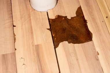 Dairenin zeminini su basması. Daireyi su basmasının sonuçları..