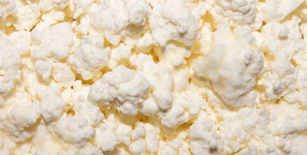 コテージチーズの背景凝縮ミルクトップビューのカッテージチーズ — ストック写真