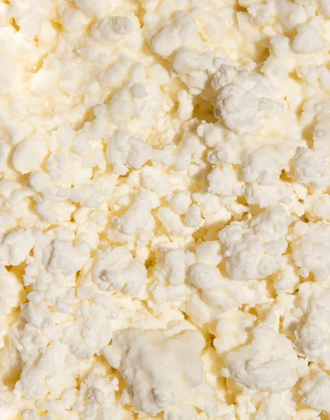 コテージチーズの背景凝縮ミルクトップビューのカッテージチーズ — ストック写真