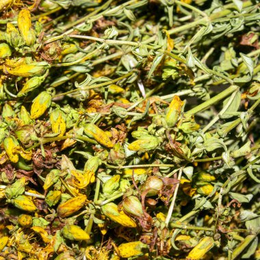 St. John otları tıbbi bir bitkidir. Kurumuş St. John otunun geçmişi..