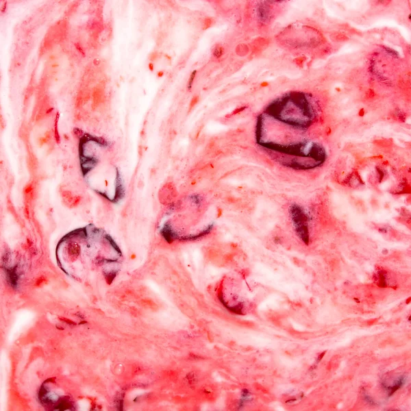 Lingonberry Jogurt Żurawina Widokiem Śmietany Góry — Zdjęcie stockowe