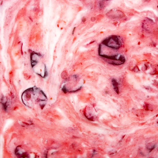 Lingonberry Yogurt Cranberry Sour Cream View Stock Image