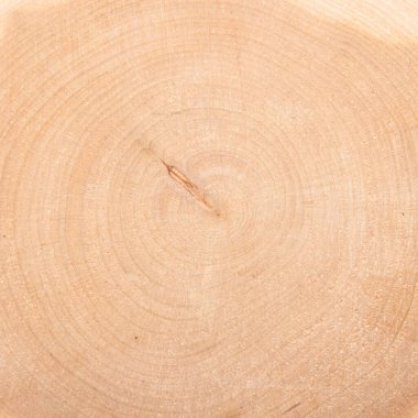 Bölümdeki ardıç ağacının dokusu. Ardıç ağacı arka planı..