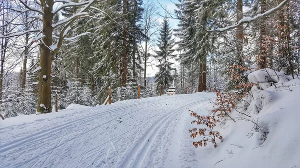 Ülke Kayak iz Jakuszyce, oyun Izerskie çapraz