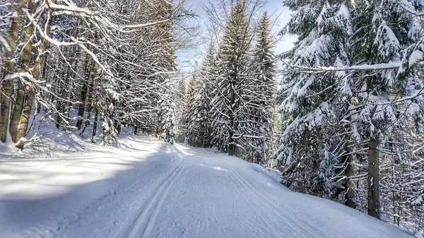 Ülke Kayak iz Jakuszyce, oyun Izerskie çapraz