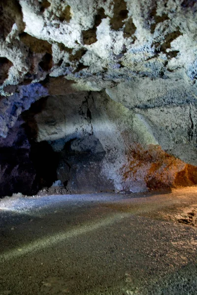 Jaskinia Nietoperzowa Jerzmanowice Polska Jura Krakowsko Częstochowska Dolina Bdkowska — Zdjęcie stockowe