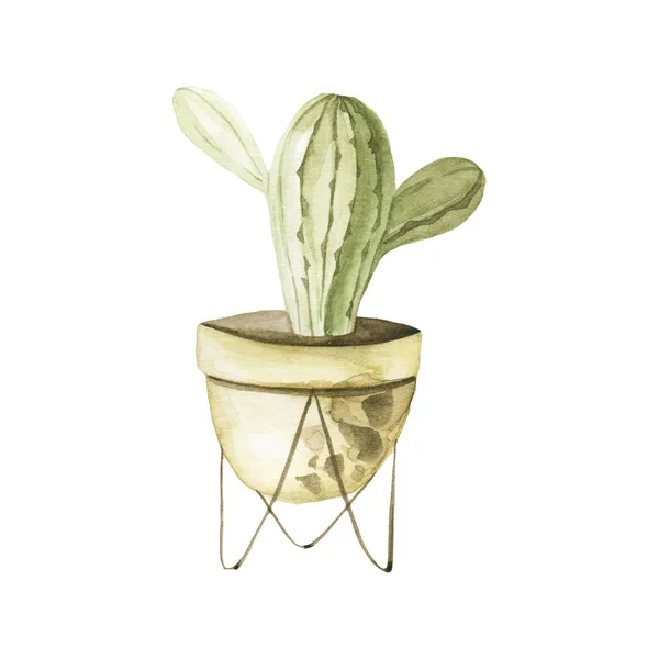 Bir tencerede suluboya izole bitki. Etnik stil ve trendy leopar baskı Pot.