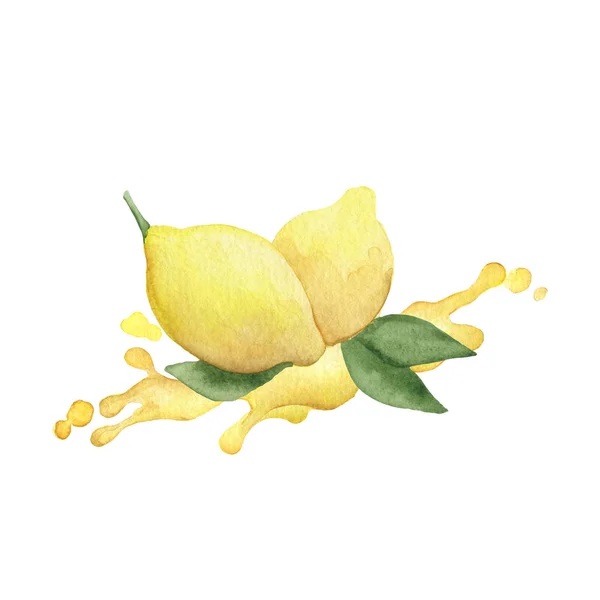 Limon suluboya kompozisyon. Elle çizilmiş illüstrasyon. Renkli limonlar.