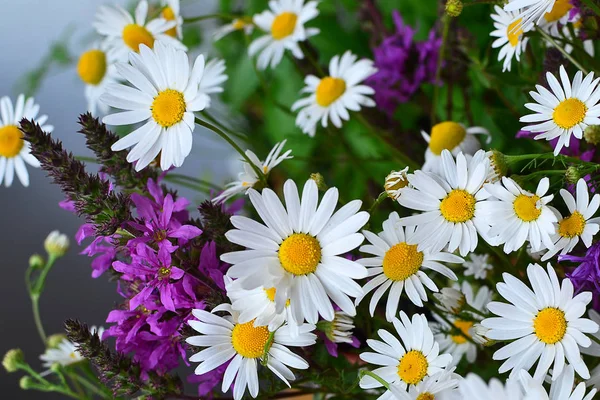 Bunte Wildblumen Heilkräuter — Stockfoto