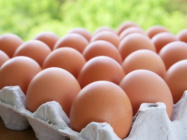 Free-range eggs with brown eggshell clipart
