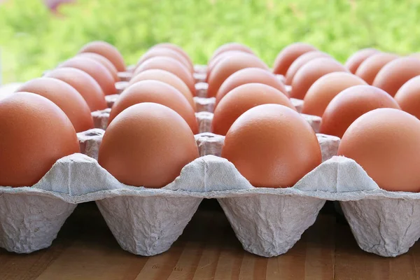 Frirange ägg med brunt äggskal — Stockfoto