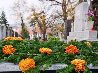 Orange chrysanthemum  flowers and fir branches on a tomb clipart