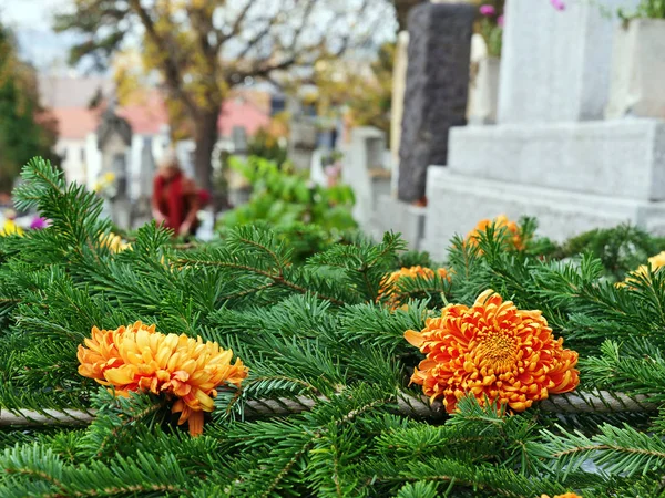 Orangefarbene Chrysanthemenblüten und Tannenzweige auf einem Grab — Stockfoto