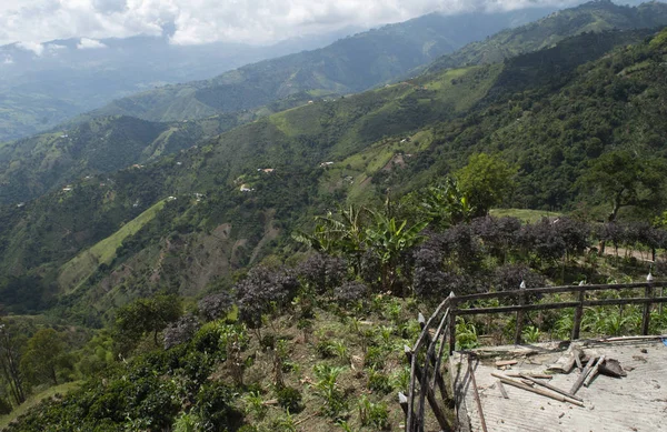 viewpoint landscape of mountains and coffee plantations