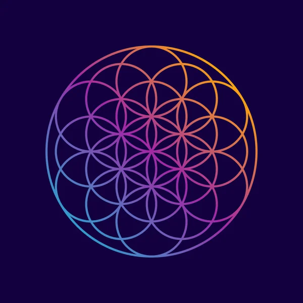 Mandala soyut çiçek Yoga arka plan