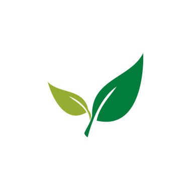 Modern yaprak yeşil Eco simgesi şablonu Logo