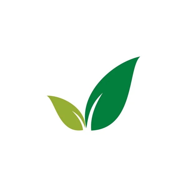 Moderne Grüne Blatt Öko Ikone Vorlage Logo — Stockvektor