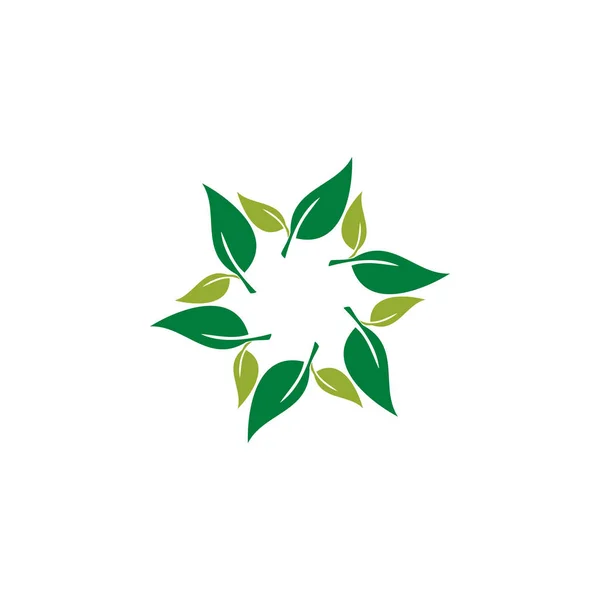 Modern Yaprak Yeşil Eco Simgesi Şablonu Logo — Stok Vektör