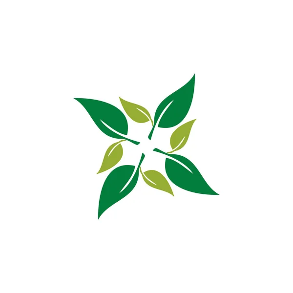 Modern Zöld Levél Eco Ikon Sablon Logo — Stock Vector