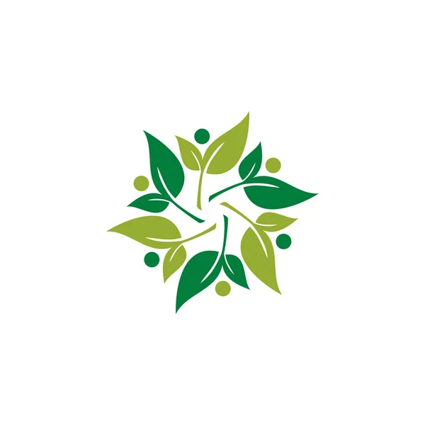 Modern Yaprak Yeşil Eco Simgesi Şablonu Logo — Stok Vektör