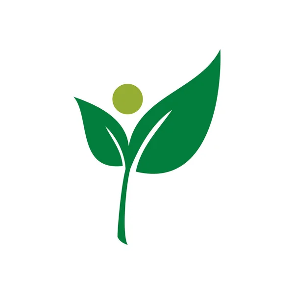 Modern Zöld Levél Eco Ikon Sablon Logo — Stock Vector