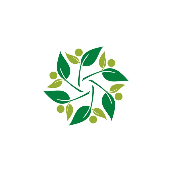 Modern Yaprak Yeşil Eco Simgesi Şablonu Logo — Stok Vektör