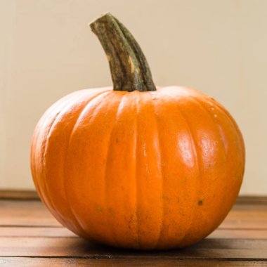 background.close kadar üzerinde bir kabak