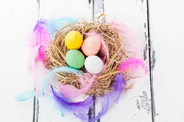 Paskalya yumurtaları vintage ahşap zemin üzerinde bir kuş yuvada