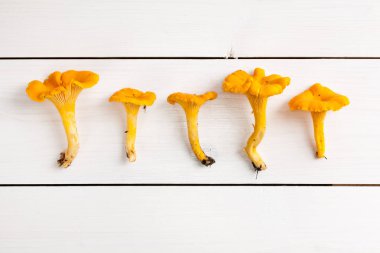 arka plan üzerinde taze turuncu chanterelles