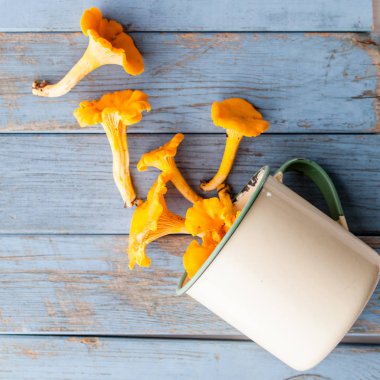 arka plan üzerinde taze turuncu chanterelles