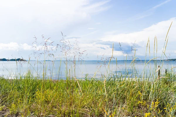 Duinen Met Gras Blue Sky — Stockfoto