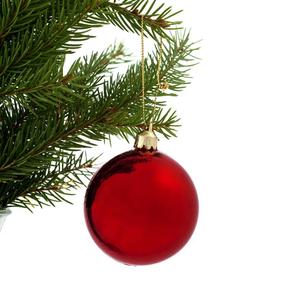 Close Van Rode Kerst Bal Opknoping Van Spar Twig — Stockfoto