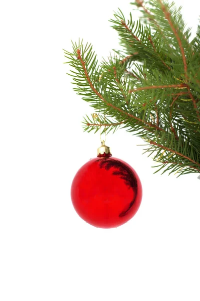 Nahaufnahme Einer Roten Weihnachtskugel Die Einem Tannenzweig Hängt — Stockfoto