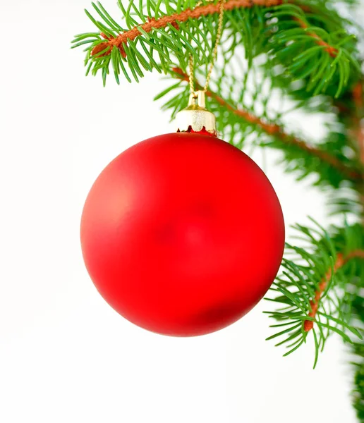 Rode Christmasball Opknoping Een Vuren Takje Geïsoleerd Wit — Stockfoto