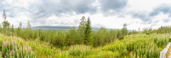 Panorama Szwedzki Scenerii Alp Lecie — Zdjęcie stockowe